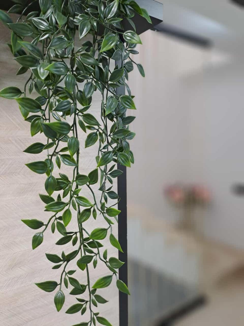 Appartement The E&n